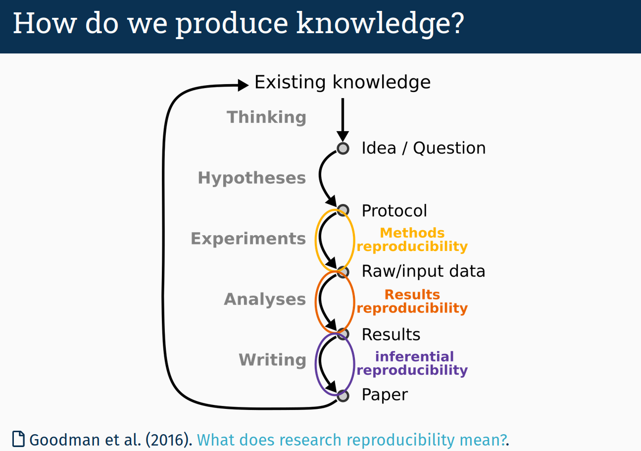 Reproducible Workflows
