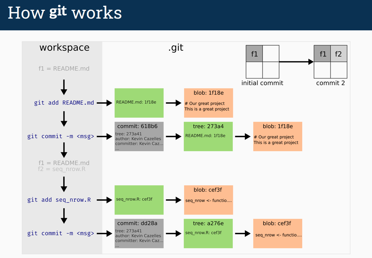 Teamwork with git & GitHub