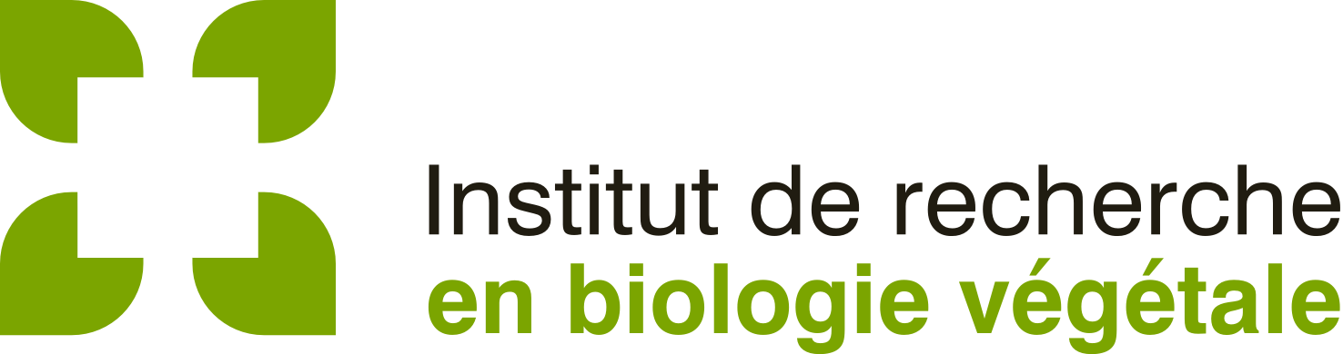 IRBV logo