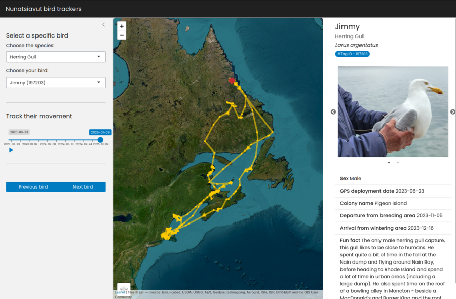 Nunatsiavut bird trackers Shiny App